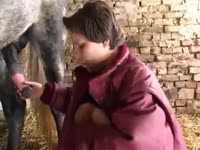 Busty chick got fucked on animal sex videos